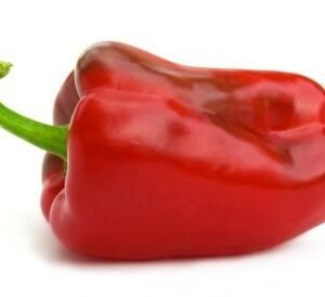 poivrons rouges, mascarpone et piment d’espelette